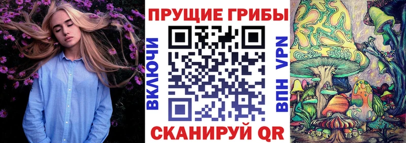 Галлюциногенные грибы прущие грибы  где продают наркотики  Белокуриха 